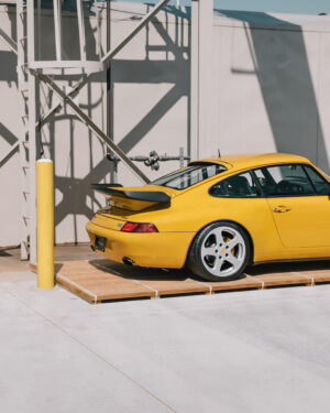 Print | Yellow Bird RUF
